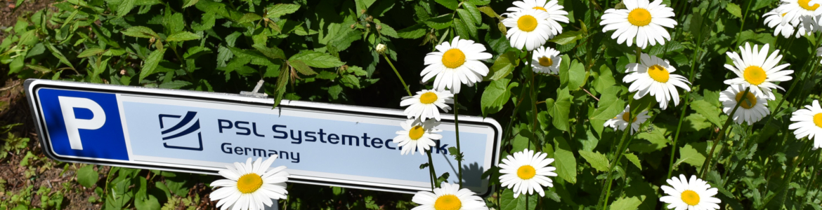 PSL Systemtechnik, Osterode am Harz, Germany, Customer car park with daisies